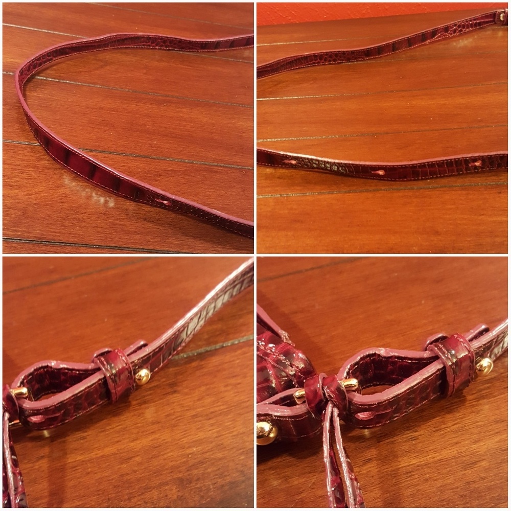 Brahmin Jody - Picture 5 of 8